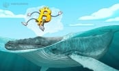 Tín hiệu 'cá mập' vừa xả Bitcoin, thị trường tiền điện tử sắp dậy sóng?
