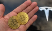 CEO Kraken: Bitcoin có thể lên giá tới 1 triệu USD trong 10 năm tới