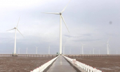 Tiền Giang 'bật đèn xanh' cho dự án điện gió ngàn tỉ của TTC Group