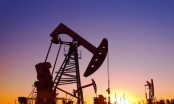 FED duy trì lãi suất thấp, giá dầu giảm 7 USD/thùng