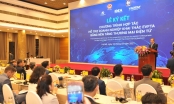 Quy mô thương mại điện tử Việt Nam đã đạt hơn 11 tỷ USD