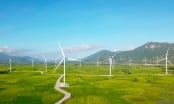 Định danh nhà đầu tư bộ đôi dự án điện gió 7.300 tỷ tại Gia Lai