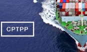 VCCI: Lợi ích xuất khẩu trực tiếp từ CPTPP còn nhiều hạn chế