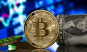 Bitcoin vượt mốc 60.000 USD trước lo ngại nguồn cung giảm