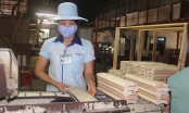 Xuất khẩu ngành gỗ tại Đồng Nai tăng trưởng nhờ sự dịch chuyển của doanh nghiệp nước ngoài