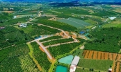 Khẩn trương rà soát pháp lý của 19 dự án đất nền tại Lâm Đồng