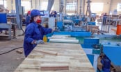 Loạt doanh nghiệp chế biến gỗ 'đổ bộ' vào Bình Định
