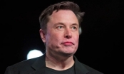 'Tôi mất sạch tiền tiết kiệm rồi, Elon Musk'