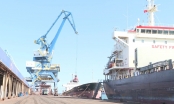 Quảng Ngãi đầu tư gần 3.800 tỷ đồng xây dựng bến cảng tổng hợp container