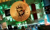 HSBC: 'Chúng tôi không coi Bitcoin như một loại tài sản'