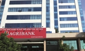 Agribank: Nỗ lực tháo gỡ khó khăn để sớm cổ phần hóa
