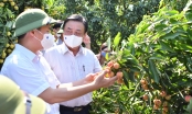 Bộ trưởng Lê Minh Hoan: Nên bỏ từ 'giải cứu nông sản'