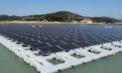 Chiến lược đầu tư điện mặt trời của doanh nhân Lê Văn Kiểm