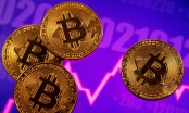 'Bitcoin không còn hấp dẫn vì giá cao'