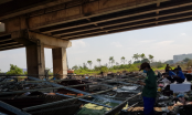 Ô nhiễm tại làng giấy Phong Khê: Tỉnh Bắc Ninh sẽ tiếp tục đóng cửa 97 doanh nghiệp vi phạm