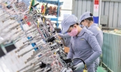 Vượt khó COVID-19, tăng trưởng kinh tế Quảng Nam đứng thứ 5 cả nước