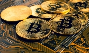 Đà tăng giá Bitcoin là 'đòn bẩy' cho tội phạm mạng