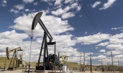 Đà tăng giá dầu liệu có sớm dừng lại?