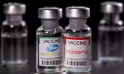 Chuyên gia WHO phản đối việc tiêm 'trộn' vaccine