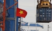 ADB hạ dự báo tăng trưởng Việt Nam do biến thể Delta