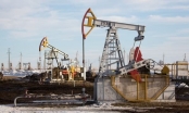 Giá dầu lao dốc gần 6%, thấp nhất trong 6 tuần qua