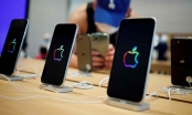 Nikkei: Apple ra mắt iPhone 2022 hỗ trợ 5G