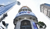 BIDV báo lãi 8.100 tỷ đồng 6 tháng