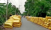 Xuất khẩu gạo kỳ vọng bứt phá vào cuối năm