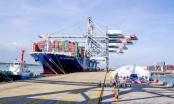 Bà Rịa - Vũng Tàu đề nghị điều chỉnh quy hoạch hàng loạt dự án cảng biển