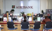 Agribank đưa ra nhiều giải pháp kịp thời hỗ trợ khách hàng và nền kinh tế