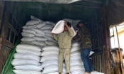Đề xuất cấp hơn 130.000 tấn gạo cứu đói cho trên 8,6 triệu người