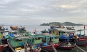 Quảng Bình chọn liên danh Trường Xuân - Công trình thủy Hà Nội nâng cấp cảng cá sông Gianh