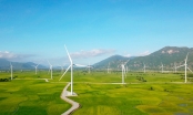 Gần 1.900 tỷ đồng trái phiếu dồn dập chảy về 2 dự án điện gió của T&T Group