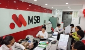 MSB phát hành 350 triệu cổ phiếu trả cổ tức