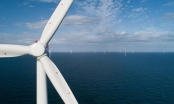 T&T Group hợp tác với Bỉ phát triển các nhà máy khử mặn bằng năng lượng gió tại Việt Nam