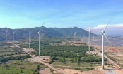 Hà Tĩnh đề xuất Thủ tướng chuyển đổi rừng tự nhiên làm dự án điện gió HBRE