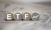 Hai quỹ ETF với tổng quy mô 1 tỷ USD sẽ cơ cấu ra sao trong tuần giao dịch 13-17/9?