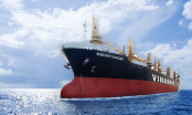 Một công ty vận tải biển của Vinalines hồi sinh, giá tăng gấp 8 lần trong 6 tháng