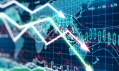 Khủng hoảng tài chính toàn cầu: Lịch sử liệu có lặp lại?
