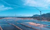 Quốc tế đưa tin về Tổ hợp kinh tế muối và năng lượng tái tạo lớn nhất Việt Nam