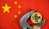 Hàng chục công ty tiền mã hóa tháo chạy khỏi Trung Quốc