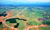 Dự án Điện gió Thái Hòa trên đà vận hành thử