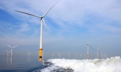 Tập đoàn PNE bàn giải pháp triển khai dự án điện gió ngoài khơi 4,8 tỷ USD ở Bình Định