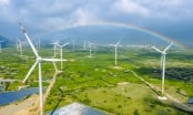 Ủy ban Thường vụ Quốc hội đề nghị Chính phủ gia hạn FIT điện gió đến 31/3/2022