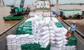 Xuất khẩu gạo được khơi thông sau khi Đồng bằng sông Cửu Long nới lỏng giãn cách
