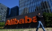 Cổ phiếu Alibaba lao dốc gần 11% sau cảnh báo về tốc độ tăng trưởng chậm