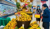 Hà Tĩnh tìm cách đẩy mạnh tiêu thụ cam địa phương ra thị trường trong và ngoài nước