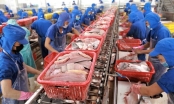 Kim ngạch xuất khẩu thủy sản của Việt Nam dự kiến cán đích 8,67 tỷ USD