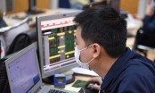 Cổ phiếu thép ‘dậy sóng’, VN-Index giảm nhẹ