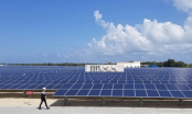 Hoàn Cầu Solar LA huy động 1.100 tỷ đồng trái phiếu